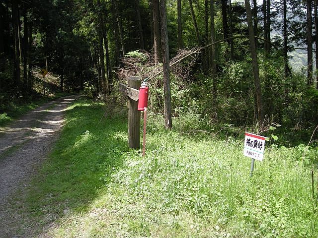 k04_118.jpg