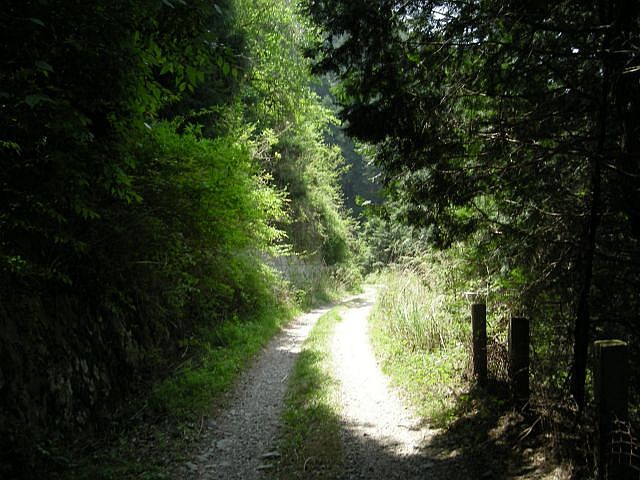 k04_119.jpg