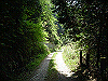 k04_119_thumb.png