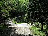 k04_121_thumb.png