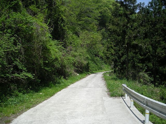 k04_125.jpg