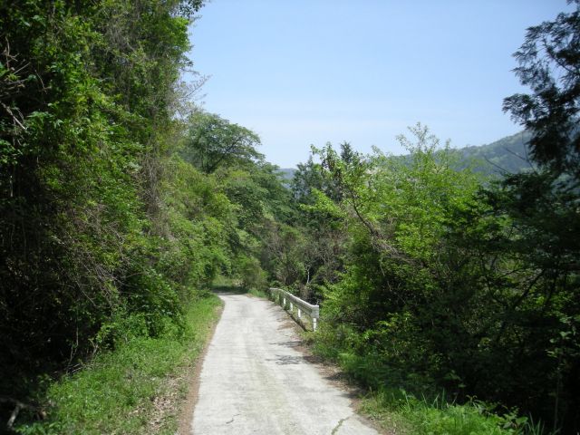 k04_127.jpg
