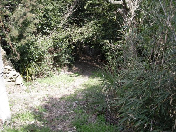k05_10.jpg