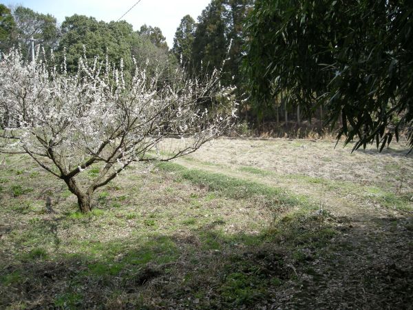 k05_12.jpg