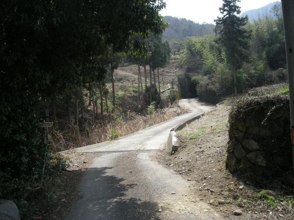 k05_14.jpg