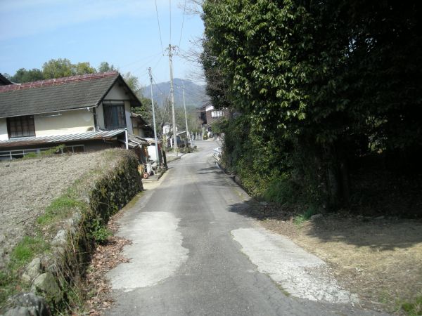 k05_15.jpg