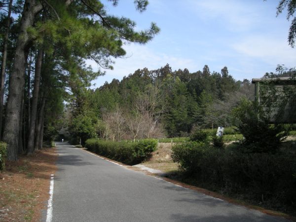 k05_30.jpg