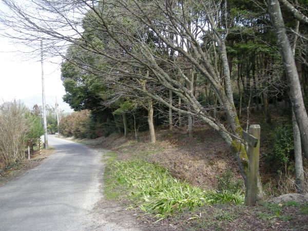 k05_31.jpg