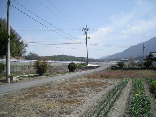 k05_45.jpg