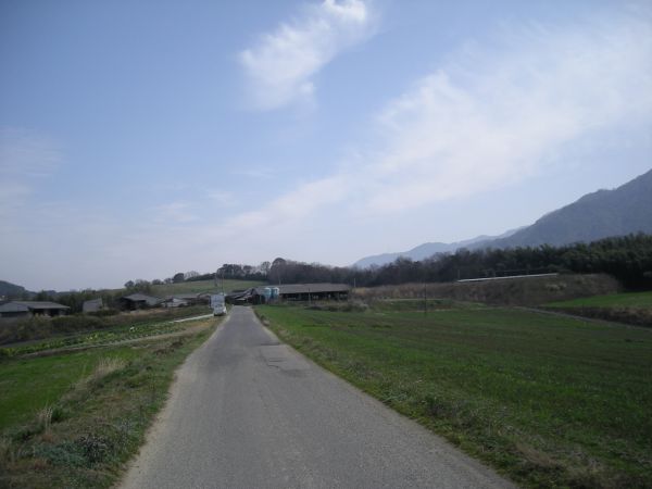 k05_51.jpg