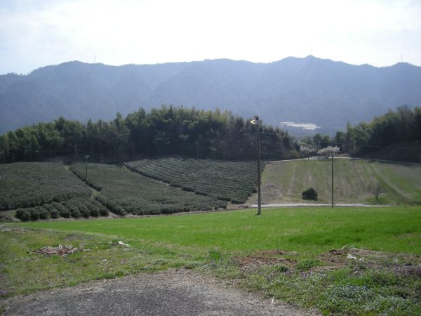 k05_57.jpg
