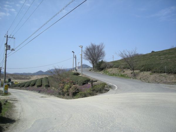 k05_61.jpg