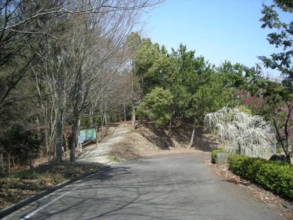 k06_25.jpg