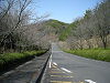k06_26_thumb.png