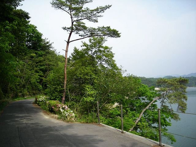 k06_34_1.jpg