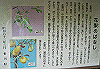 k06_35_thumb.png