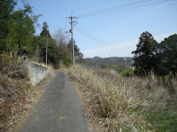 k06_43.jpg