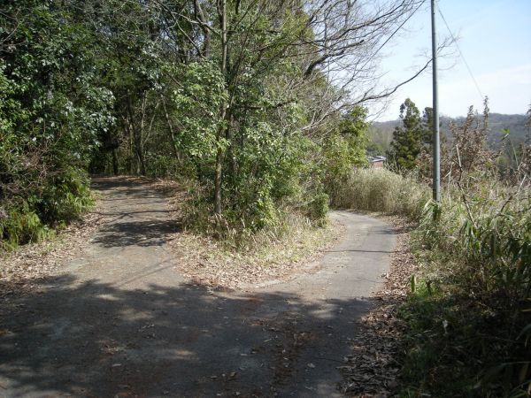 k06_44.jpg