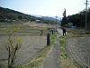 k07_21_thumb.png