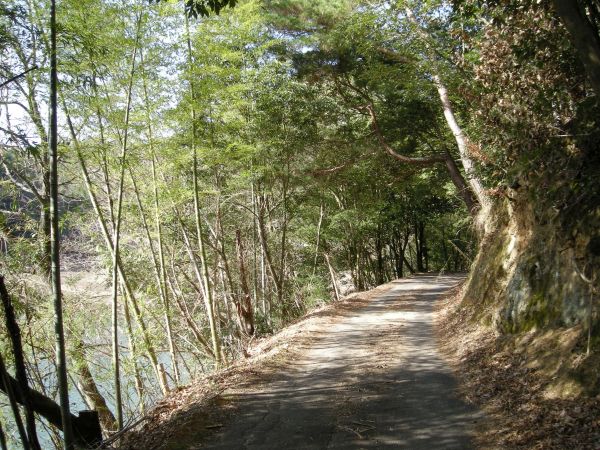 k08_19.jpg