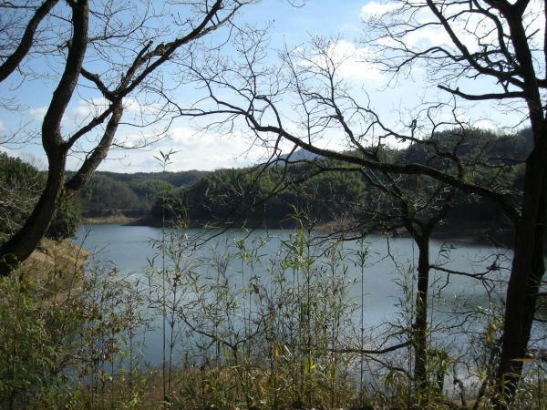 k08_20.jpg
