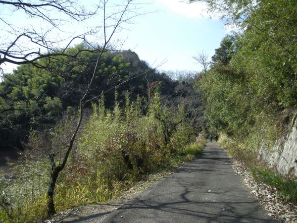 k08_21.jpg