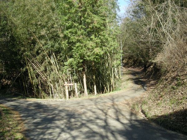 k08_23.jpg