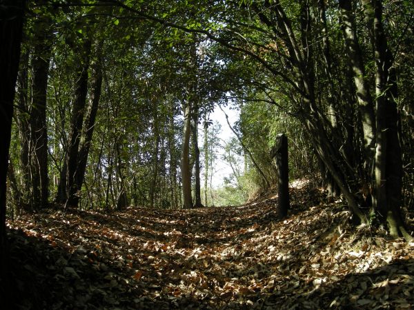 k08_26.jpg