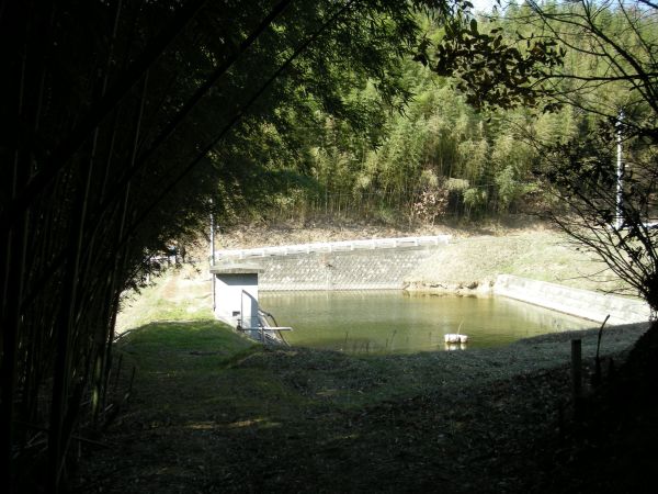 k08_28.jpg