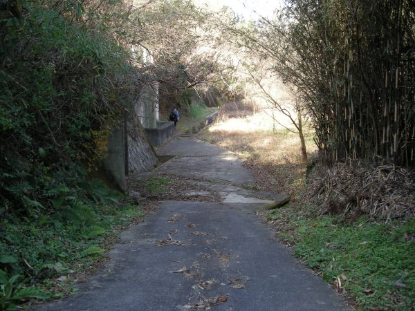 k08_39.jpg