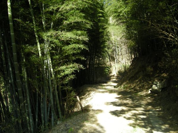 k08_44.jpg