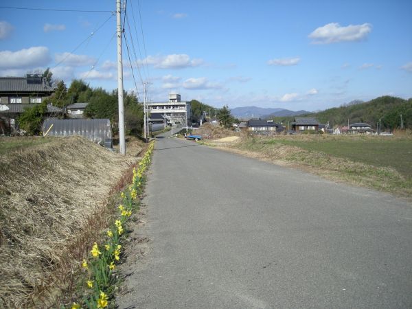 k08_46.jpg