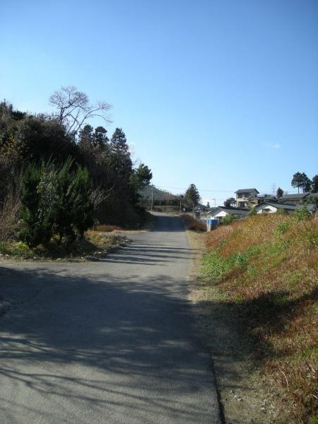 k08_47.jpg