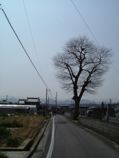 k09_10.jpg