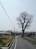k09_10_thumb.png