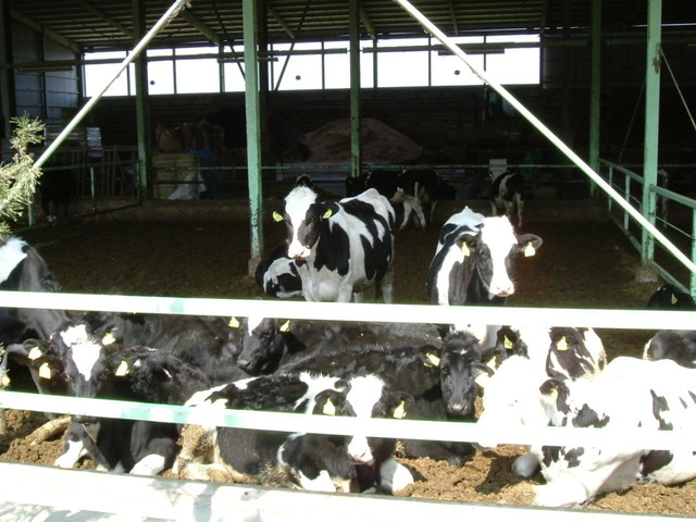 k09_41.jpg