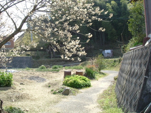 k09_62.jpg