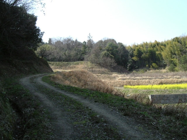 k09_63.jpg