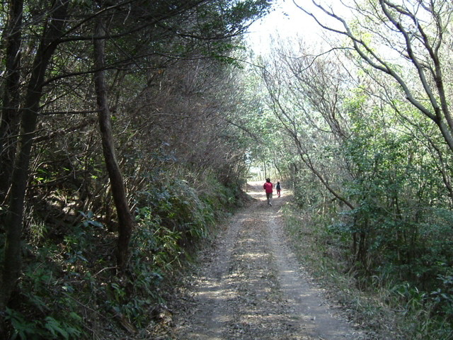 k09_65.jpg