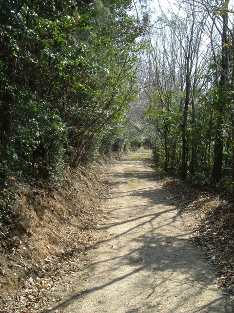 k09_68.jpg
