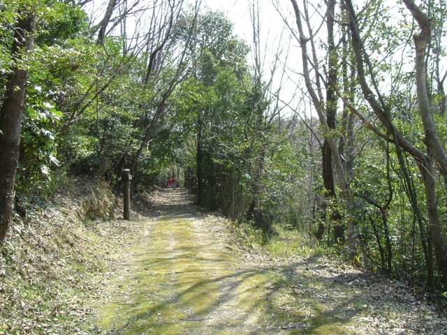k09_69.jpg