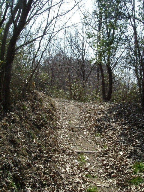 k09_70.jpg