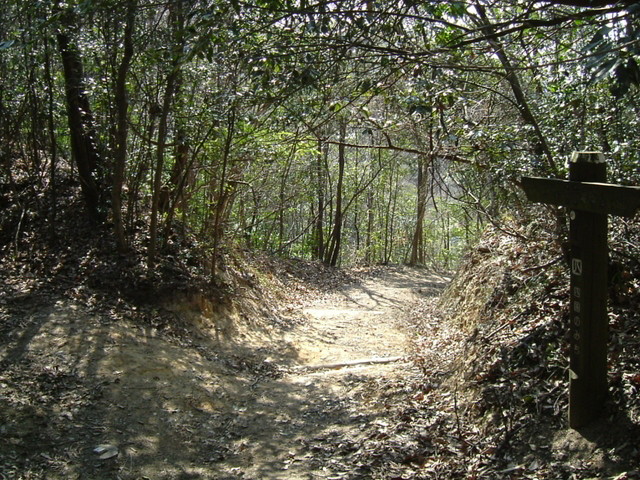 k09_73.jpg