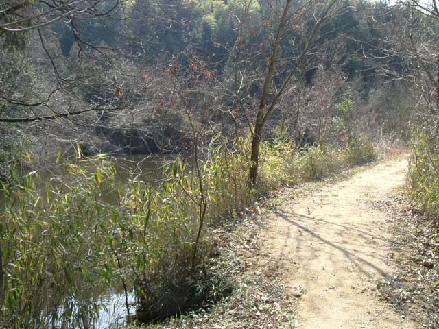 k09_75.jpg