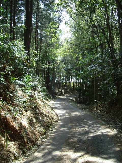 k09_78.jpg