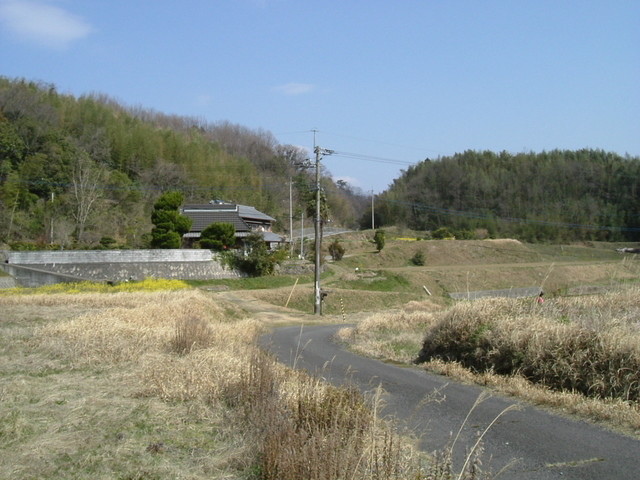 k09_81.jpg