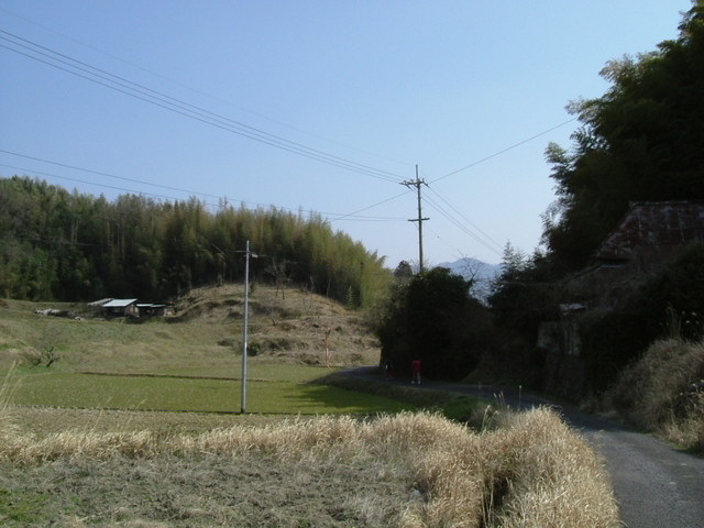 k09_82.jpg
