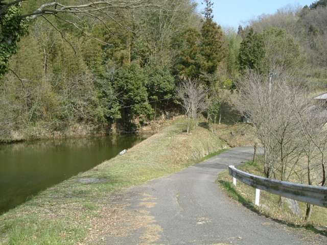 k09_85.jpg