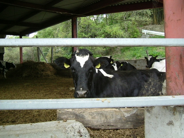 k10_06.jpg