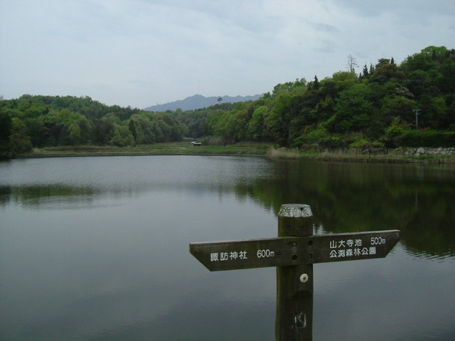 k10_11.jpg